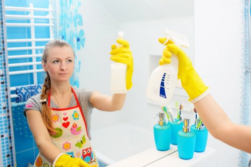 Professional oven cleaning service for London homes and flats