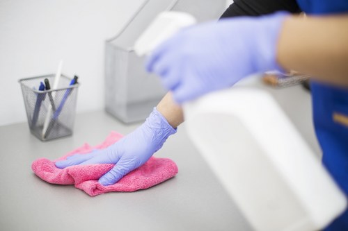 Cleaner providing local cleaning services in a London flat
