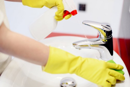 A team carrying out a detailed one off cleaning service in London