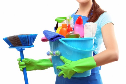 Cleaning products arranged for a domestic cleaning service