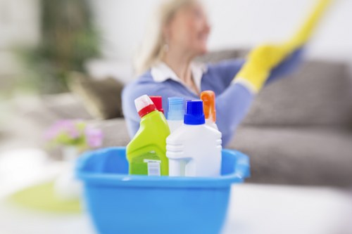 Deep cleaning for a London flat