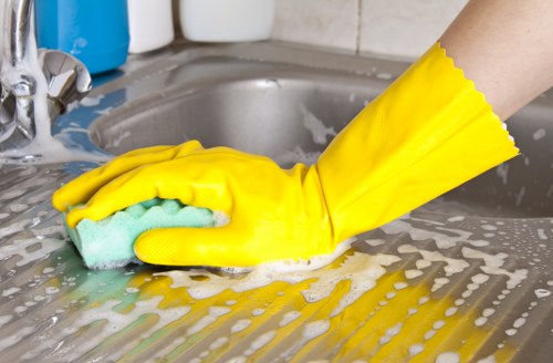 Professional cleaner handling kitchen and bathroom cleaning in London