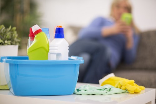 Upholstery cleaning process for a sofa in a London apartment