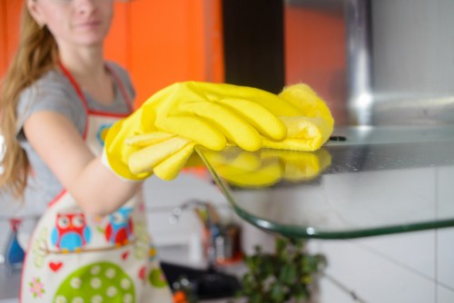 User requesting accessibility support for a London flat cleaning service